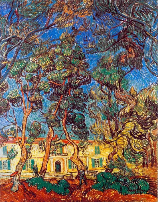 Photo:  Van Gogh, Madhouse Garden
